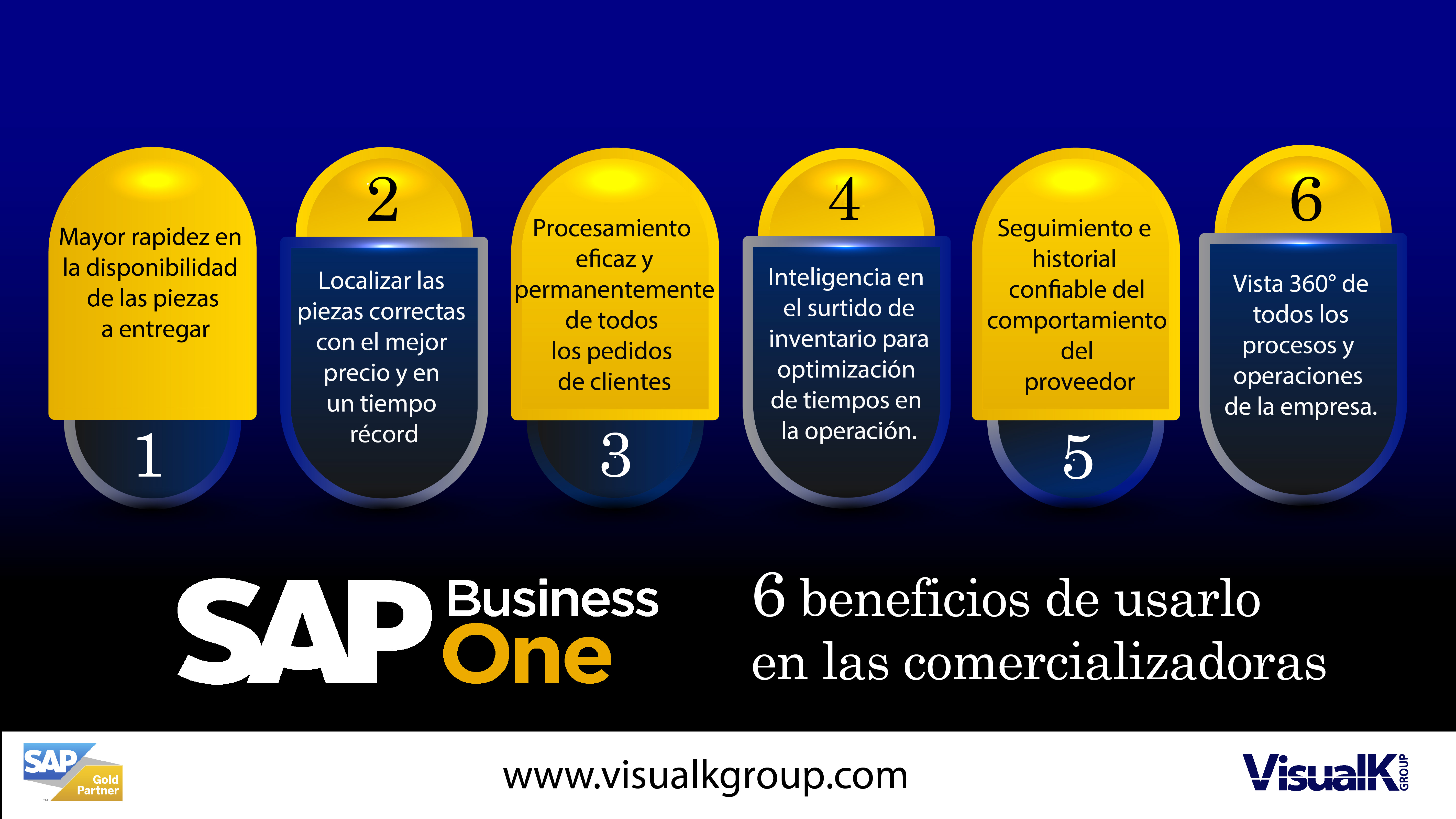 Sap Business One Para Empresas Comercializadoras E Importadoras Visualk Group 0865